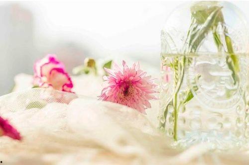 拨开云雾见福星农家小福星,农家小福星的温馨故事