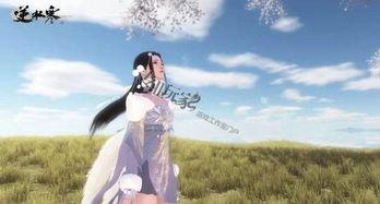 我一曲封神渣女前妻跪求复合,一曲封神，泪求复合