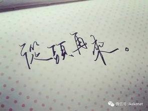 从头再来,重塑人生新篇章