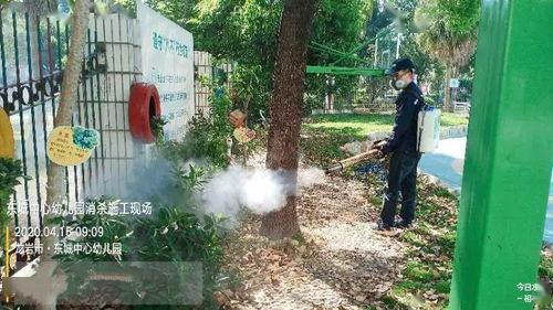 从养鸡种树到万界共主,一段跨越时空的传奇征程