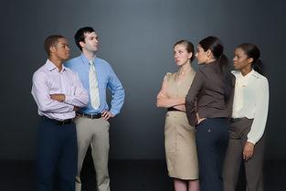 职场小烈 第三季,挑战升级，职场精英的蜕变之路