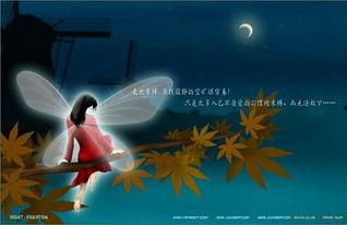 暗夜微光,探寻希望与勇气的璀璨之光