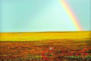 追逐彩虹,探寻梦想与现实的交织之旅