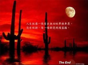 人生读档回到悲剧前夜,悲剧前夜的生死抉择