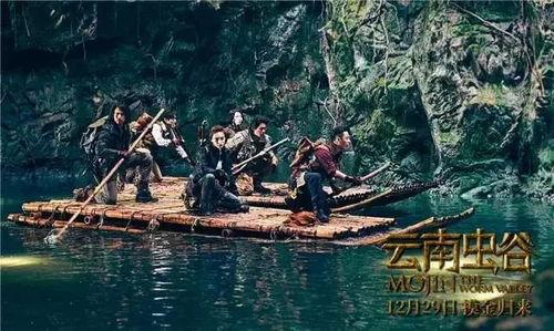 巨虫谷,神秘昆虫世界的探险之旅